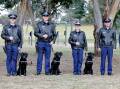 Some of the graduating police dogs and their trainers in Goulburn on Friday. Picture: NSW Police