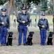 Some of the graduating police dogs and their trainers in Goulburn on Friday. Picture: NSW Police