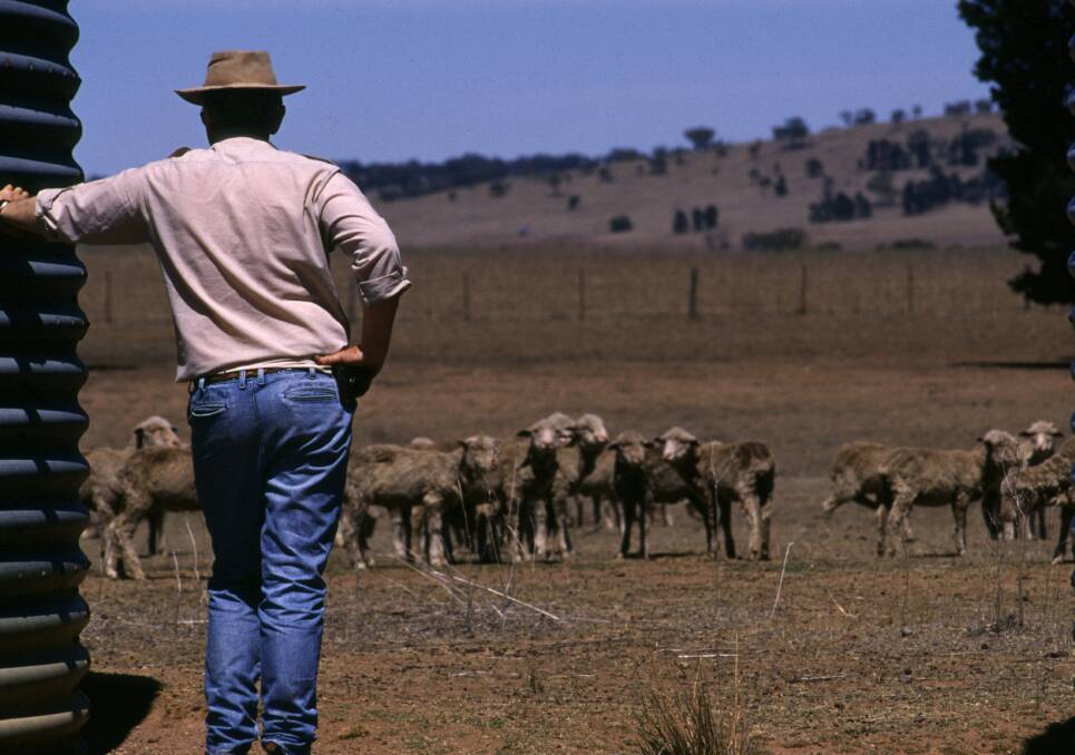 Govt must develop national drought policy two-year inquiry finds