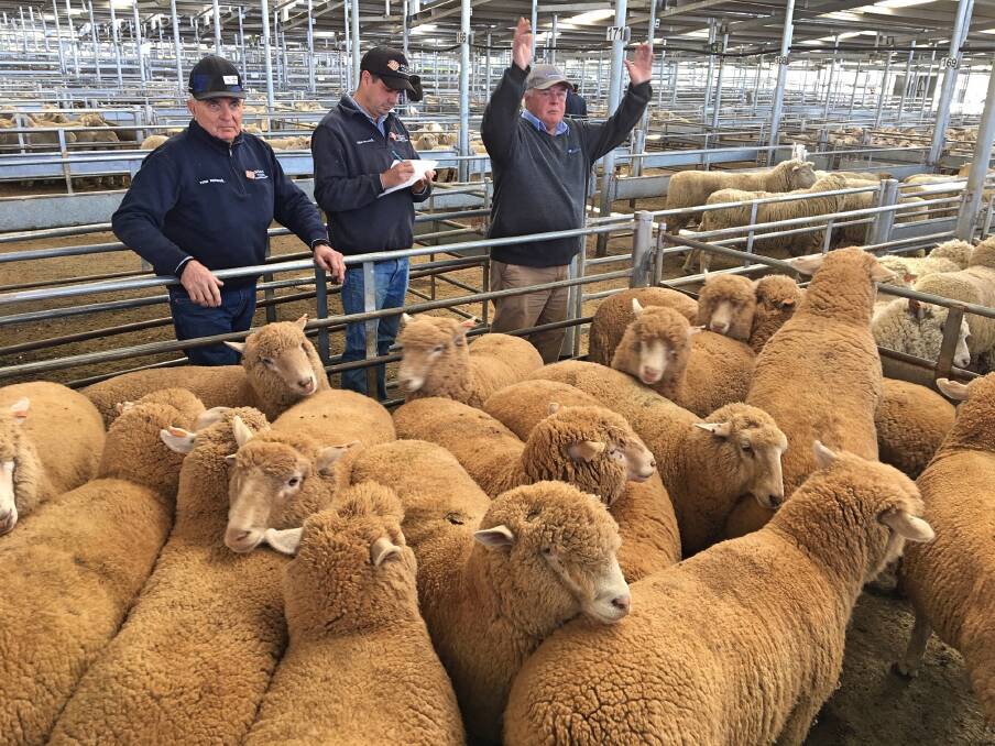 Michael Hall Livestock & Property sold 17 cross lambs on behalf of J&R Corby for $226 a head.
