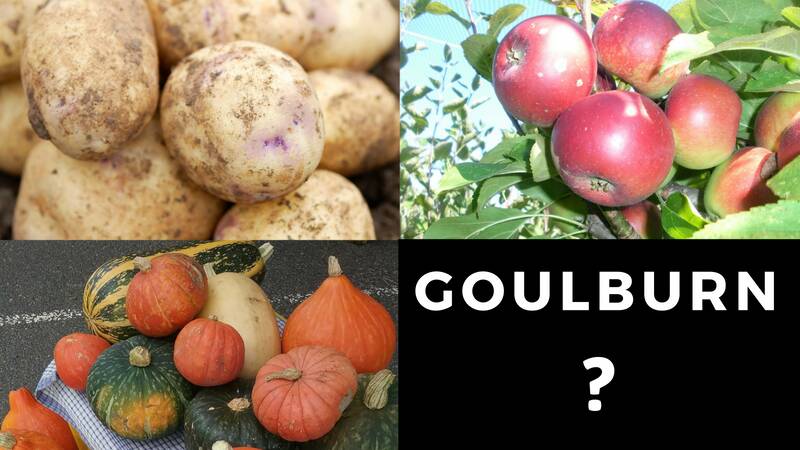 Where is Goulburn’s food festival? | Poll