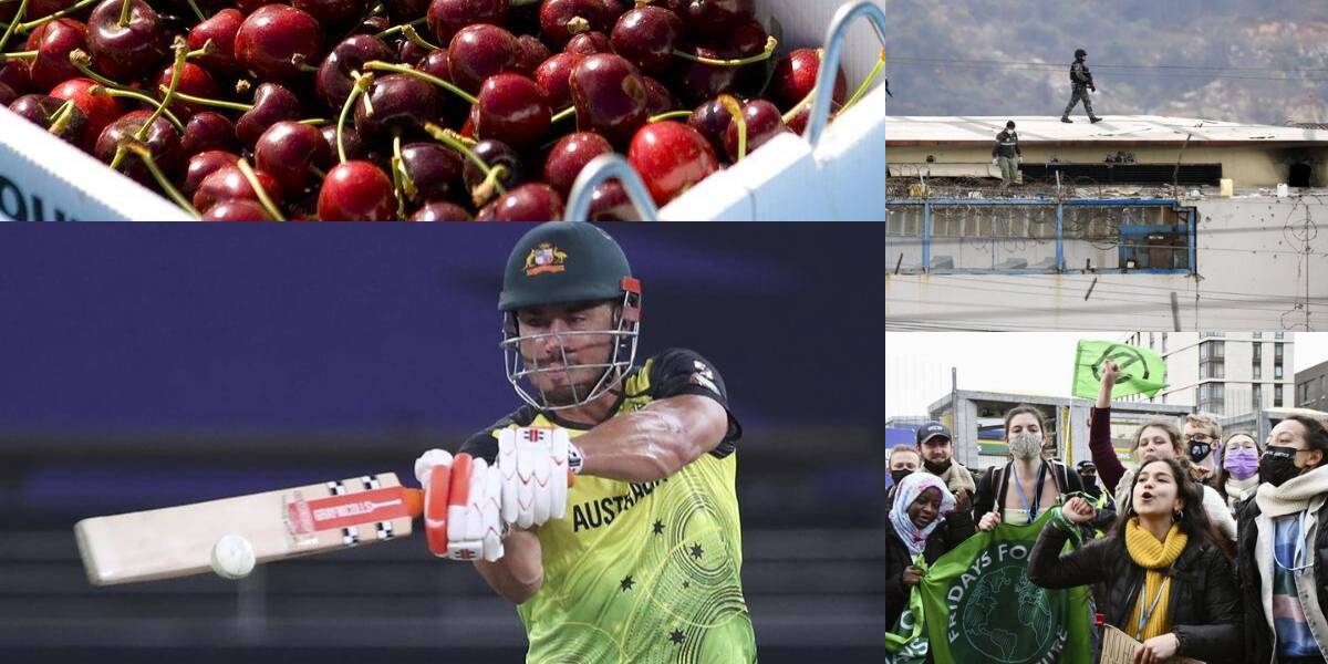 Grocery prices set to rise, Aussies prepare for final T20 battle and more news