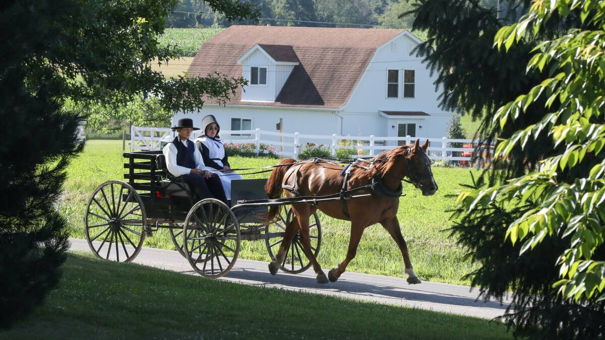 The Amish of America are an oddity in today's fast-paced life but welcome the interest of curious tourists. 