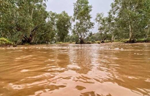 Normally dry at this time of year, the Todd River at Alice Springs is flooding again.