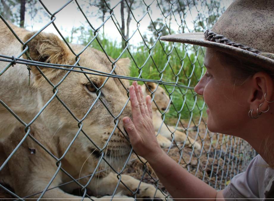 The 35-year-old keeper was cleaning the lion enclosure when the attack occurred. She sustained injuries to her head and neck, leaving her fighting for life. Picture: Supplied