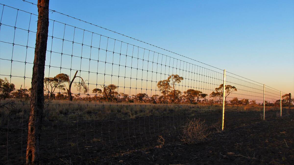 The science is in - fences no harm to roo populations