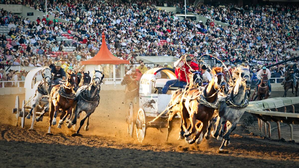 And they're off … the Calgary Stampede action culminates in the GMC Rangeland Derby Chuckwagon event.
