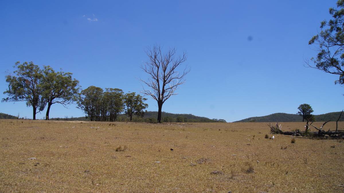 BIG DRY: The hot weather helped killed off pastures more quickly. Picture: Belinda-Jane Davis