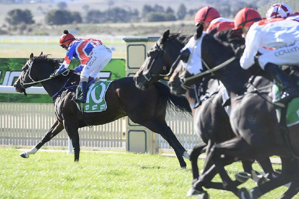 Northern River (Simone Vella) runs away from the opposition at Goulburn. Image by Bradley Photographers