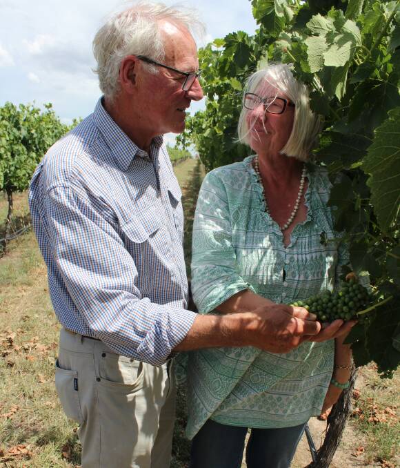 SWEET TIMES: Howard and Elly Spark walk through the Kingsdale vineyard off Crookwell Road. Both said they were proud of their achievement and experiences in the field. This comes after their plans to retire. Photo: Mariam Koslay