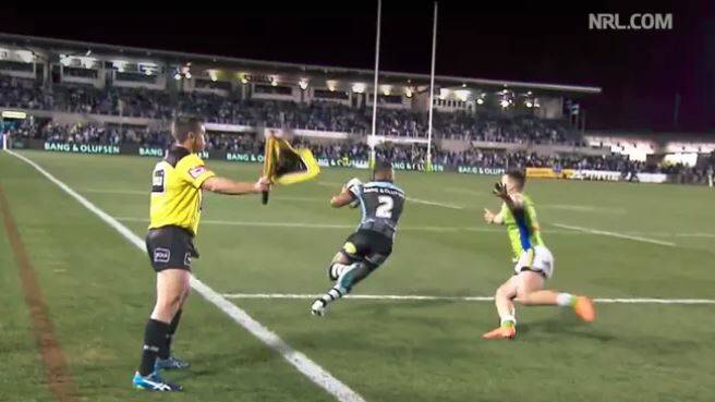 In the firing line: Touch judge Rick MacFarlane incorrectly puts his flag up during Friday night's Sharks-Raiders game. Photo: Screen grab of NRL.com