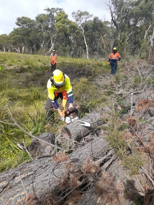 SLICE OF THE ACTION: A TAFE NSW student shows off his newfound skills during a previous chainsaw operations course. Photo: supplied