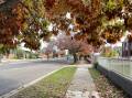 Pic of the week: The colourful hues of Autumn are well and truly on show in Goulburn.