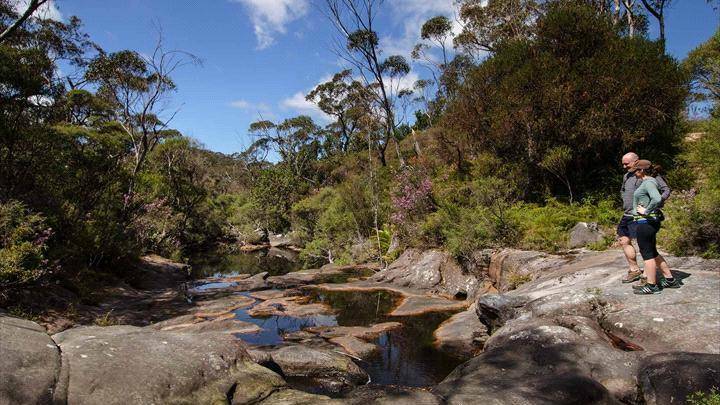 Bushwalkers reminded to be prepared before heading outdoors