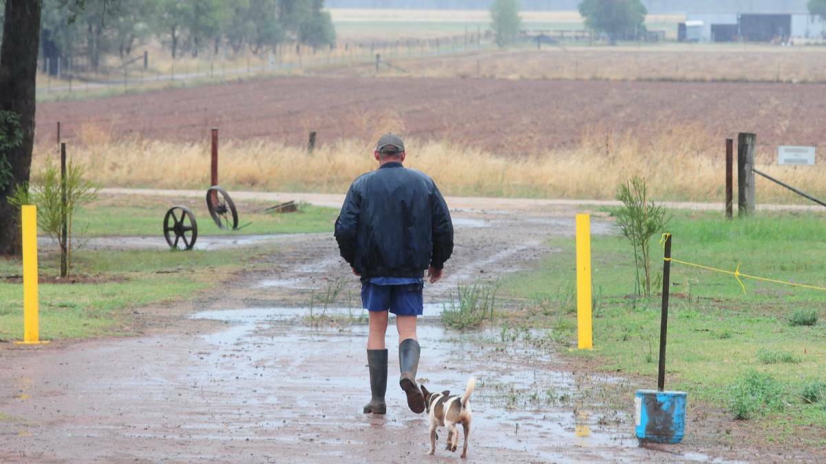 Keep your pets safe in wild weather. Photo: file. 