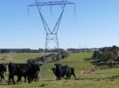 A plan to upgrade powerlines could help farmers in the long run. File picture.
