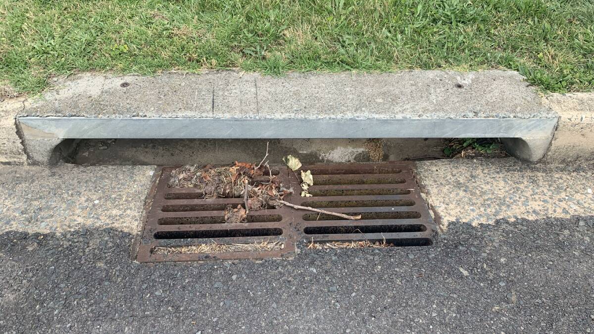 The council has advised caution after a herbicide spill into a storm water drain. Photo: Hannah Neale