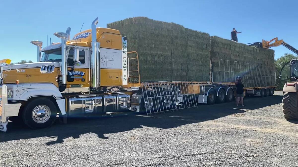 A record number of small lucerne bales at 'Canimbla' in Cowra. Photo: Supplied