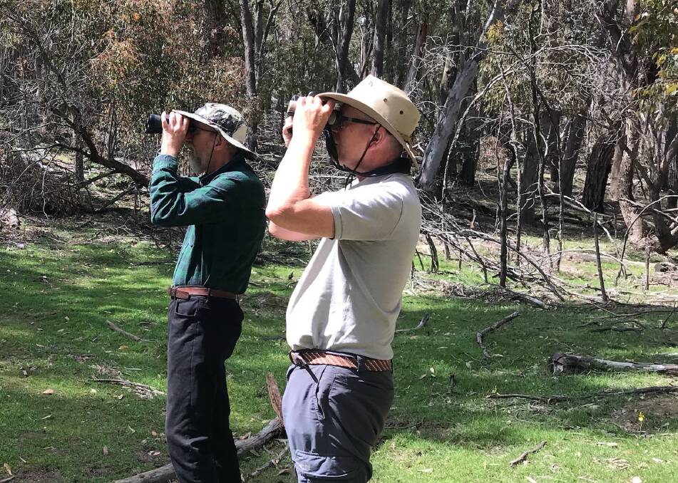 BIRD WATCHERS: Goulburn Field Naturalists volunteers Greg Warden and Frank Antram search for the scarlet robin. Picture: Supplied