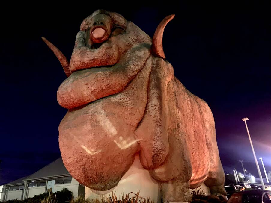 DONOR WEEK: The Big Merino has been lit up red to encourage people to donate blood. Photo: Hannah Neale