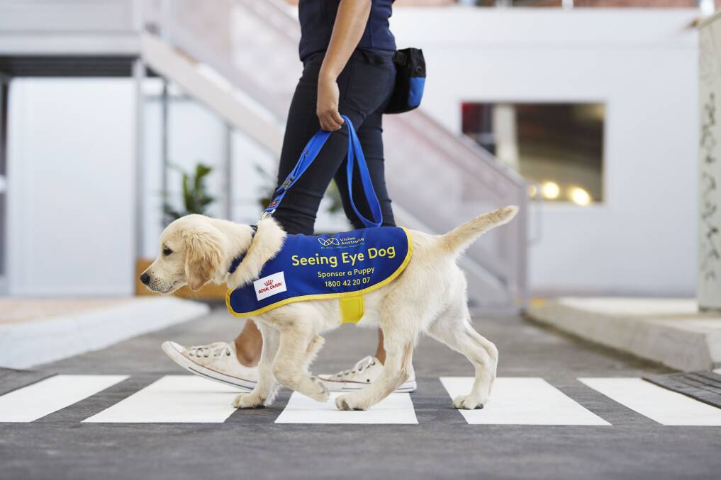 PAWFECT: Goulburn customers helped raise money for Seeing Eye Dogs. Photo: Supplied