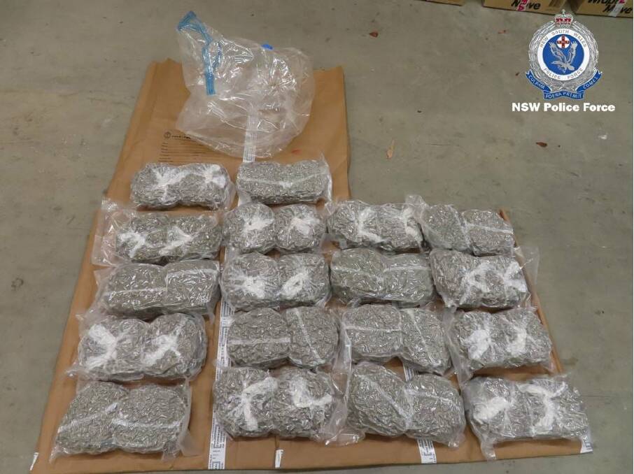 A man will face court today charged following the seizure of 127 kilograms of cannabis. Photo: NSW Police