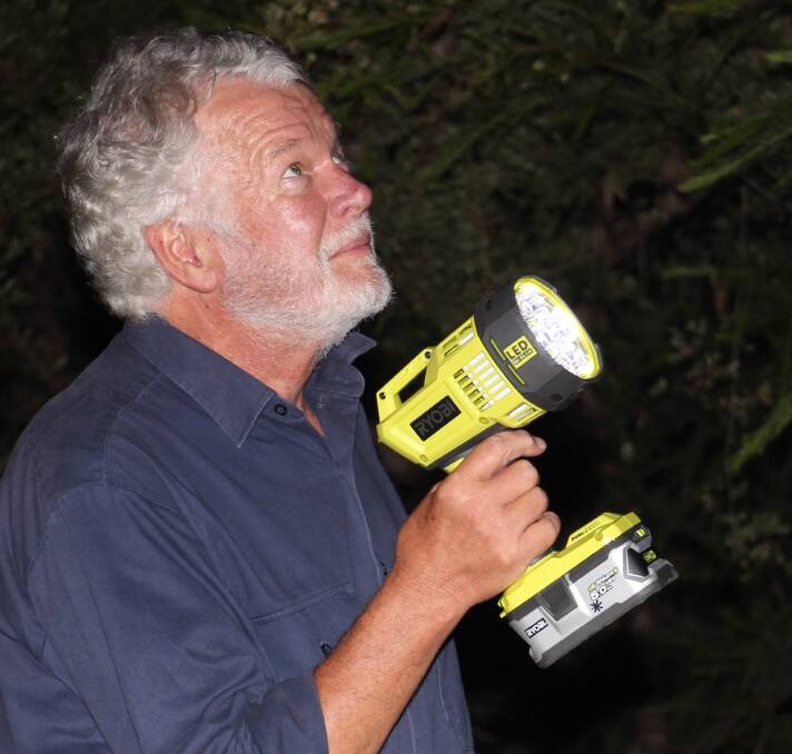Peter Smith searches for the greater glider. Picture: Supplied