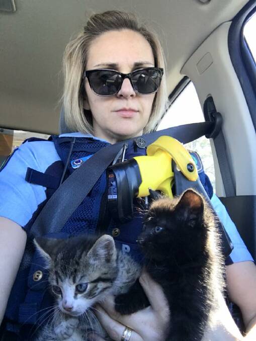 ARM FULL OF FELINE: Senior Constable Bianca Williams with kittens she rescued from an engine bay in November, 2017. Pictures: Supplied.