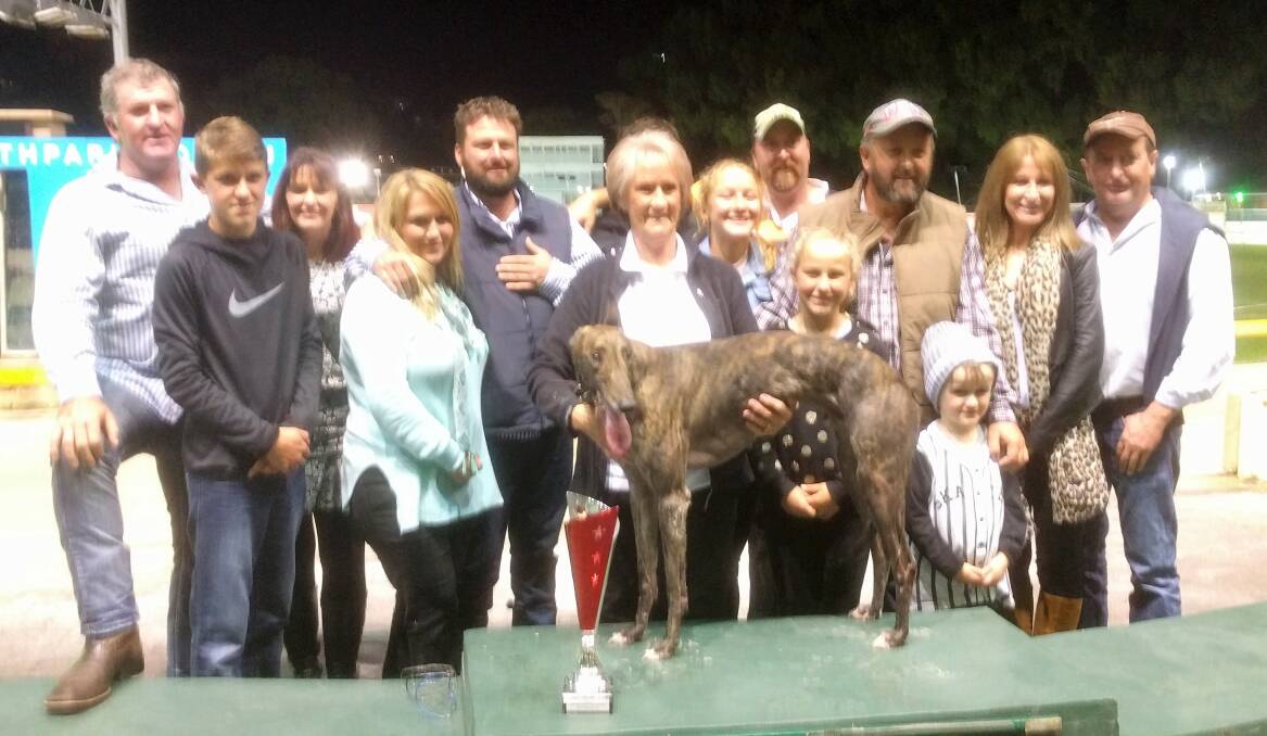 WINNING: Quoted Dynasty with trainer Denice Warren and the Razor Gang Syndicate members following their dog's Ladbrokes Up For The Challenge Sprint Final (520m) win at Wentworth Park. Photo: Stuart Turner