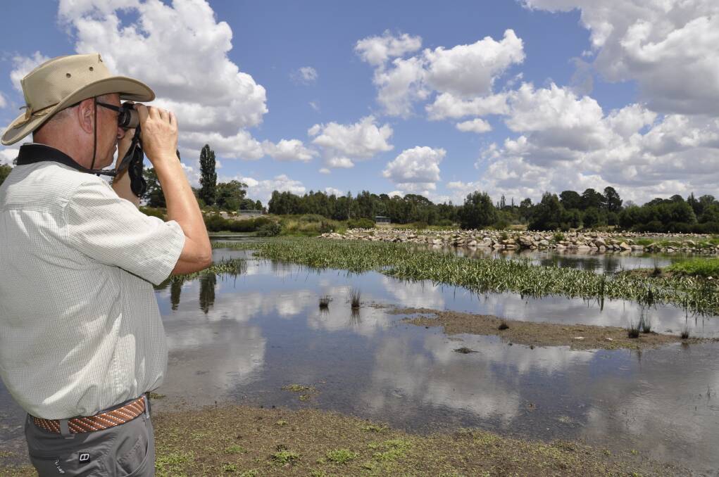 KEEPING WATCH: Frank Antram has been a bird watcher all his life. He says more than 130 species have been recorded at the Goulburn wetlands. Photo: Louise Thrower.