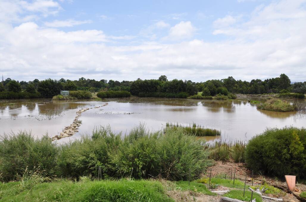 The Goulburn wetlands off May Street were heavily silted by Sunday morning. Photo: Louise Thrower.