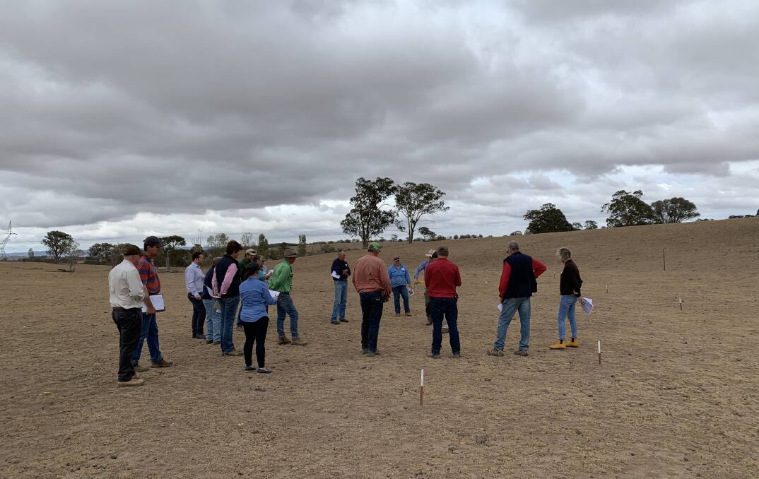 NEW AGE FARMING: Just some of the farmers at Gunning property, 'Merrill' on Thursday reviewing current ground cover levels before heading back into the shearing shed to look at the pasture forecasts. Storm clouds brewed overhead. Photo supplied.