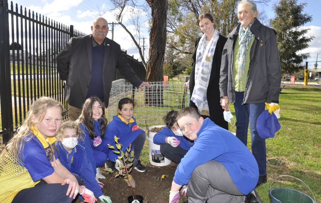 Goulburn South Public School students Chloe Halls, Jordan Breen, Serenity Andrews-Patch, Ena Jenkins, Angus Condylios and Haiden Mills planted the tree, watched by Mayor Peter Walker, relieving principal Emily Osborne and the school's garden club coordinator, Alsion Johnson. Photo: Louise Thrower.