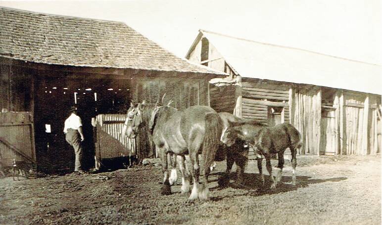 David Broadhead III outside the original blacksmith's premises on the property circa 1920s. Note the shingle roof and the original stables at right with new metal roof. The buildings no longer remain. Photo: Broadhead archives.
