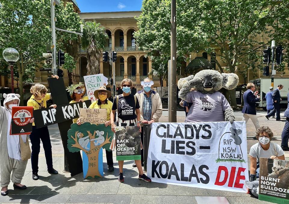 ATTENTION GRABBING: Cranky Koala (aka Mark Selmes) was front and centre at a day of action outside NSW Parliament House on Tuesday. Photo supplied.