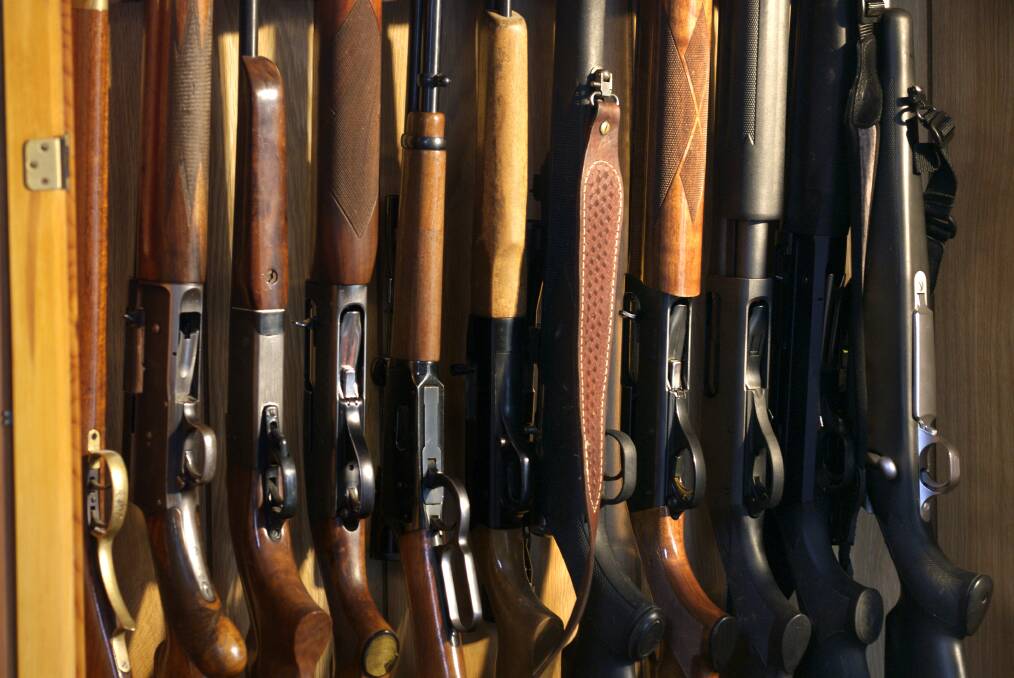 The Greens argue people must not be able to secure multiple gun licences without proper police checks. Photo supplied.