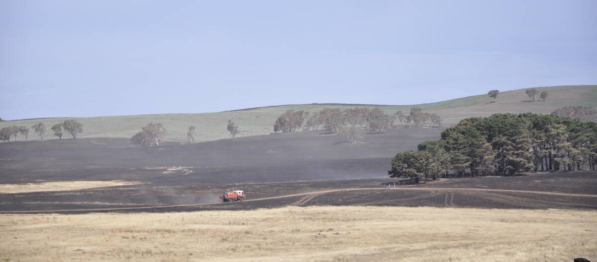 Patrols continued on land off Bungendore Road on Wednesday in the Currandooley fire. Investigators say a bird landing on powerlines, then dropping in dry grass, sparked the massive blaze. Photo: Louise Thrower.