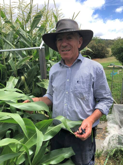 WISDOM: Retired GP and Parkesbourne small farmer Dr Robert Favaloro has some valuable insights into life and good mental health. Photo supplied.