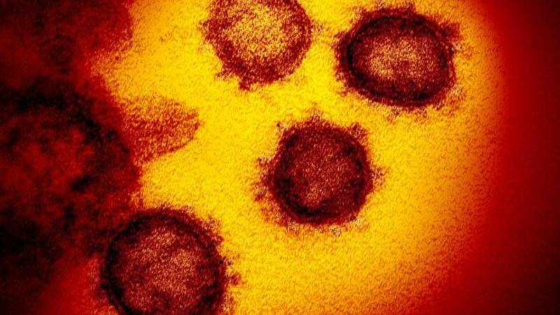 Positive test brings active coronavirus cases to two