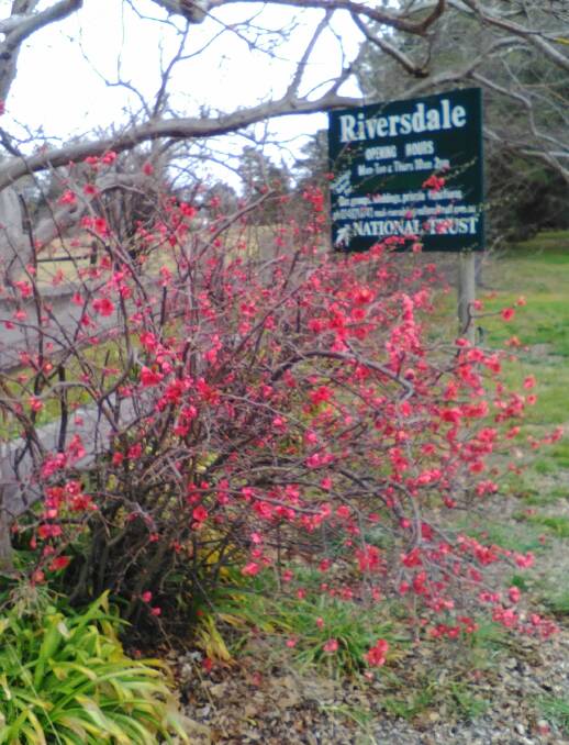 Spring has brought the Riversdale garden out in a bloom of colour. Photo supplied.