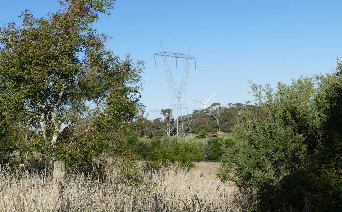 A NSW Upper House inquiry will "better examine" the costs and benefits of undergrounding powerlines, say MLC Rod Roberts. Picture supplied.