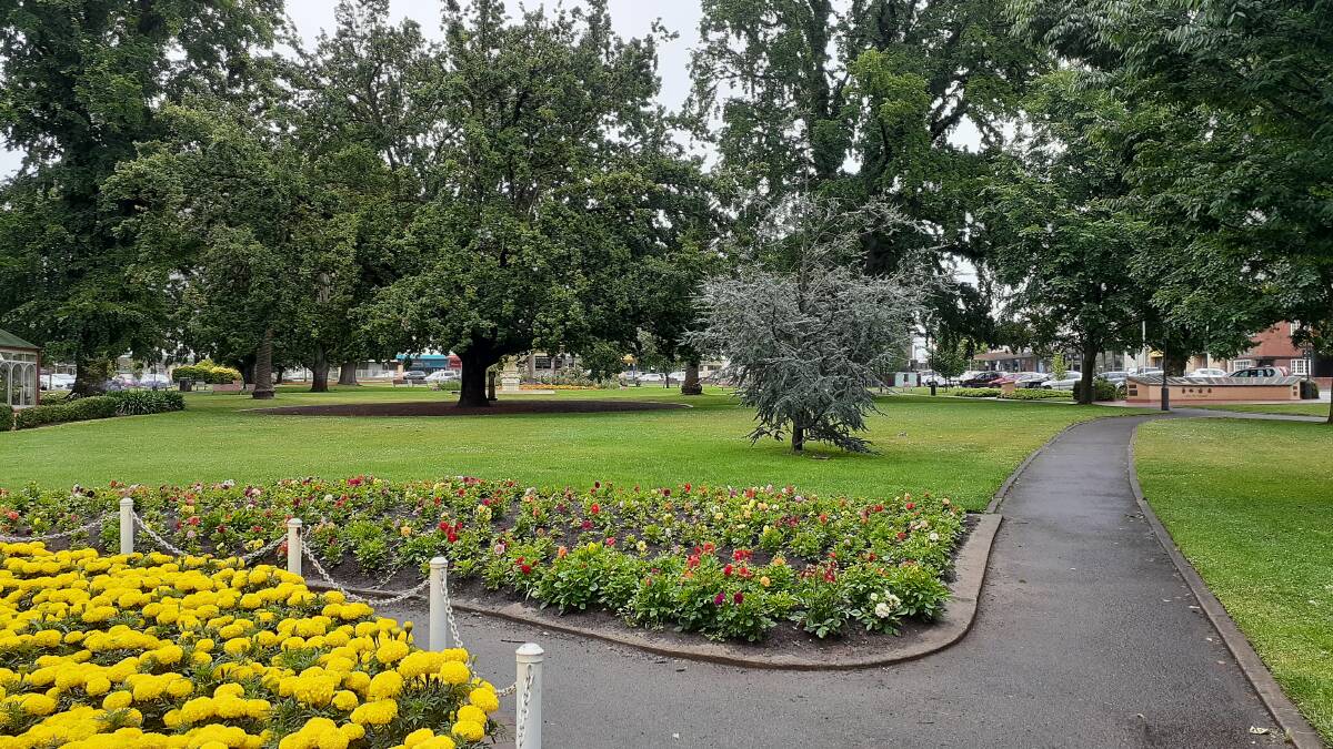 HISTORY: The Lady Belmore Oak (centre) is a centrepiece in Belmore Park. It was planted in 1869 to mark the railway's arrival in Goulburn. Photo: Louise Thrower.