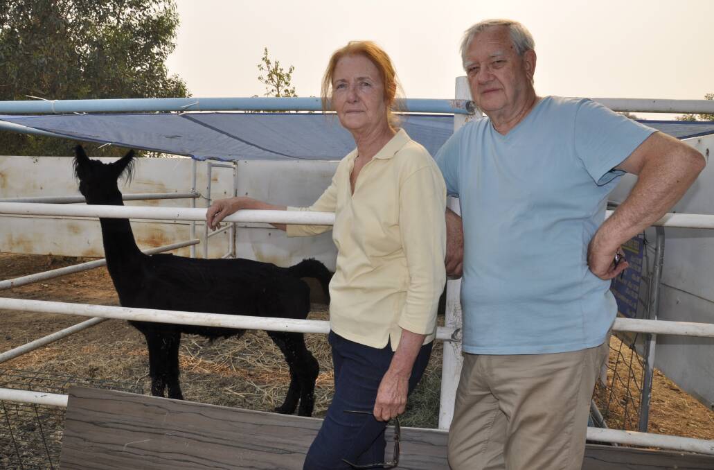 Mary and Peter Overton from Tallong sought safe haven for their animals, including their alpaca, Stanley, at the evacuation centre on Braidwood Road. Photo: Louise Thrower.