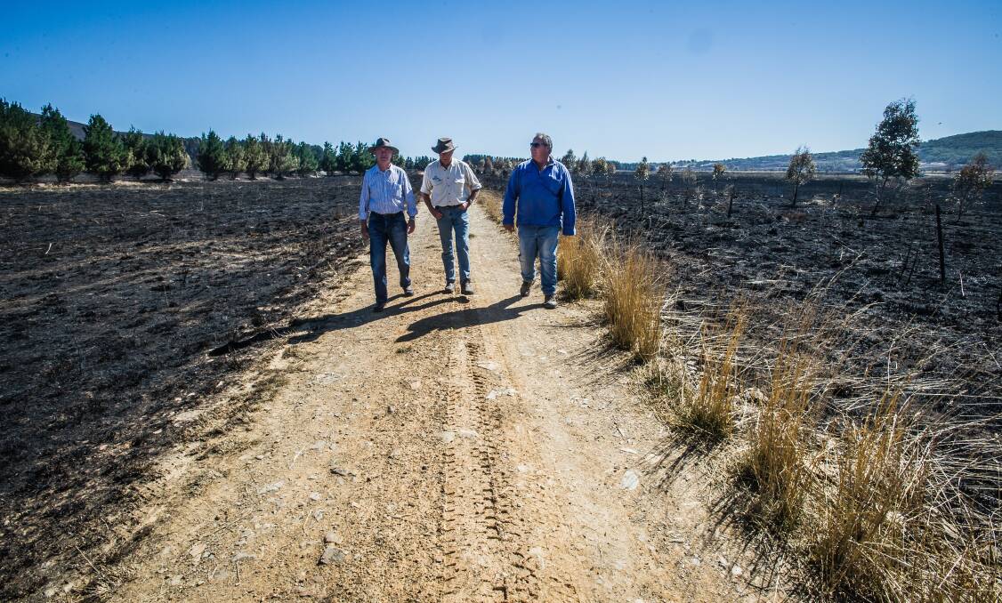 Landowners and managers survey the damage from the Currandooley fire near Tarago last January. Photo: Karleen Minney.