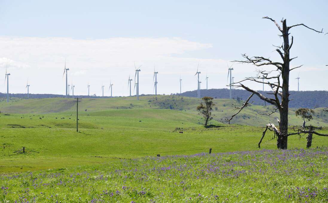 IN THE WIND: TransGrid's 630km long transmission line proposed to run through the Crookwell and Taralga districts is designed to better harness renewable energy like that from wind farms. But some landowners are upset about the route. Photo: Louise Thrower.