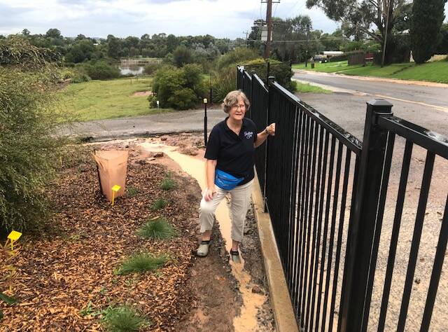 NOT AGAIN: Friends of Goulburn Swamplands president Heather West surveyed the damage to the wetlands and gardens following Saturday's deluge. Photo supplied.