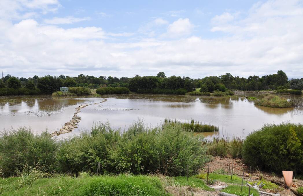 Loads of silt from the May Street subdivision washed into the Goulburn wetlands in January. Photo: Louise Thrower. 