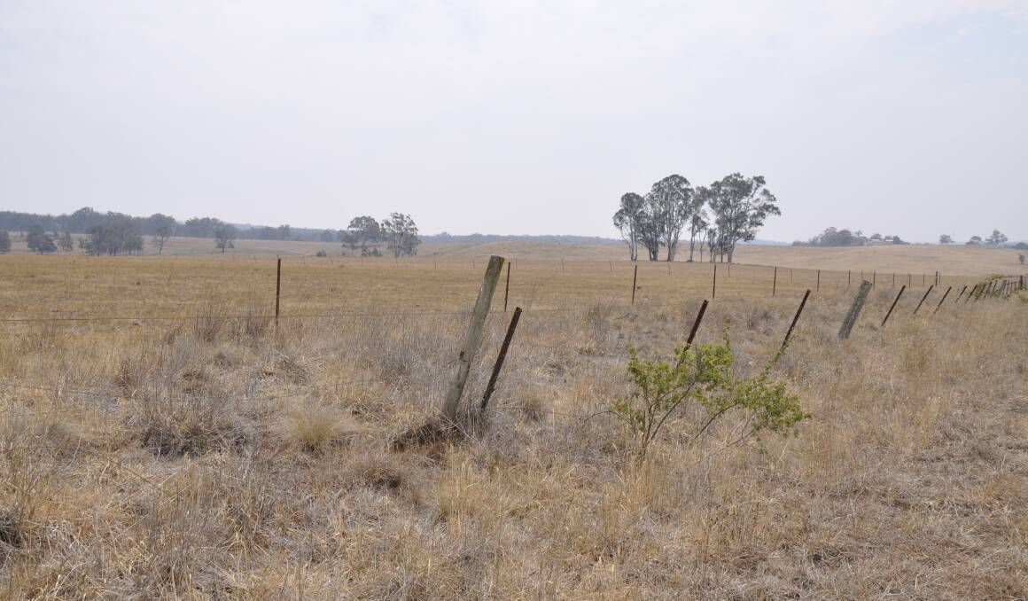Goulburn Mulwaree is pitching its case for federal government drought support. It missed out in the latest round, along with Yass Valley Shire. Photo: Louise Thrower.