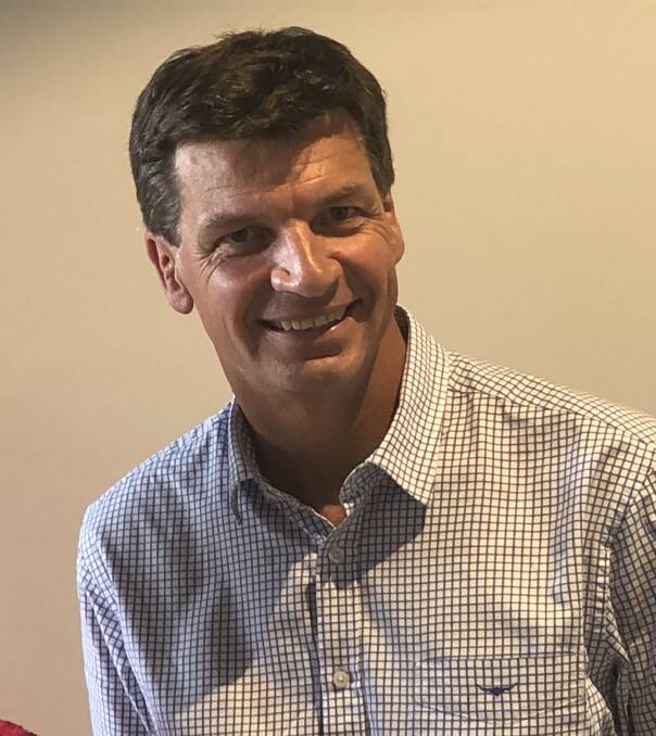 Hume MP Angus Taylor says democracy is a "great thing" and anyone is welcome to run in the electorate. Photo supplied.