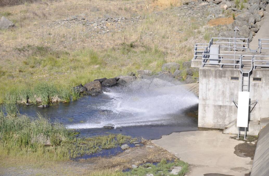 About 11 megalitres a day, or eight Olympic-sized swimming pools worth of water, is being released from Sooley Dam for Goulburn's use daily. 